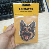 Custom Air Freshener