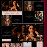 Website Design