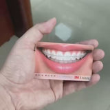 Lenticular 3D Cards - Flip Effect