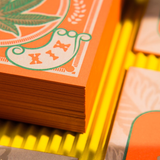 Color Edge Business Cards