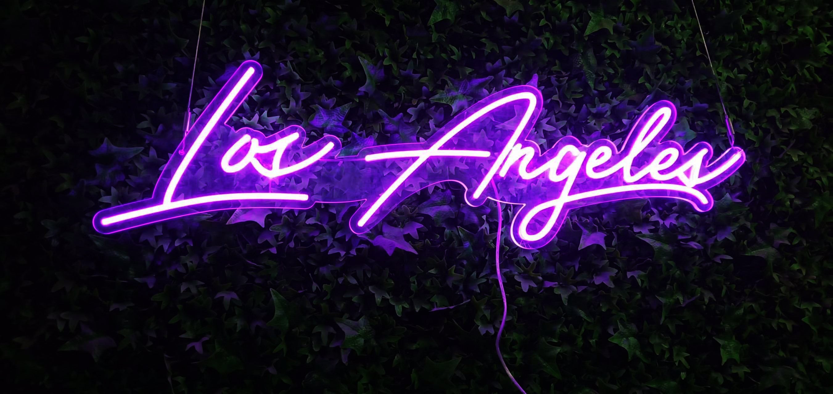 Los Angeles Neon Sign